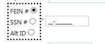 FEIN/SSN/Alt ID radiobutton image